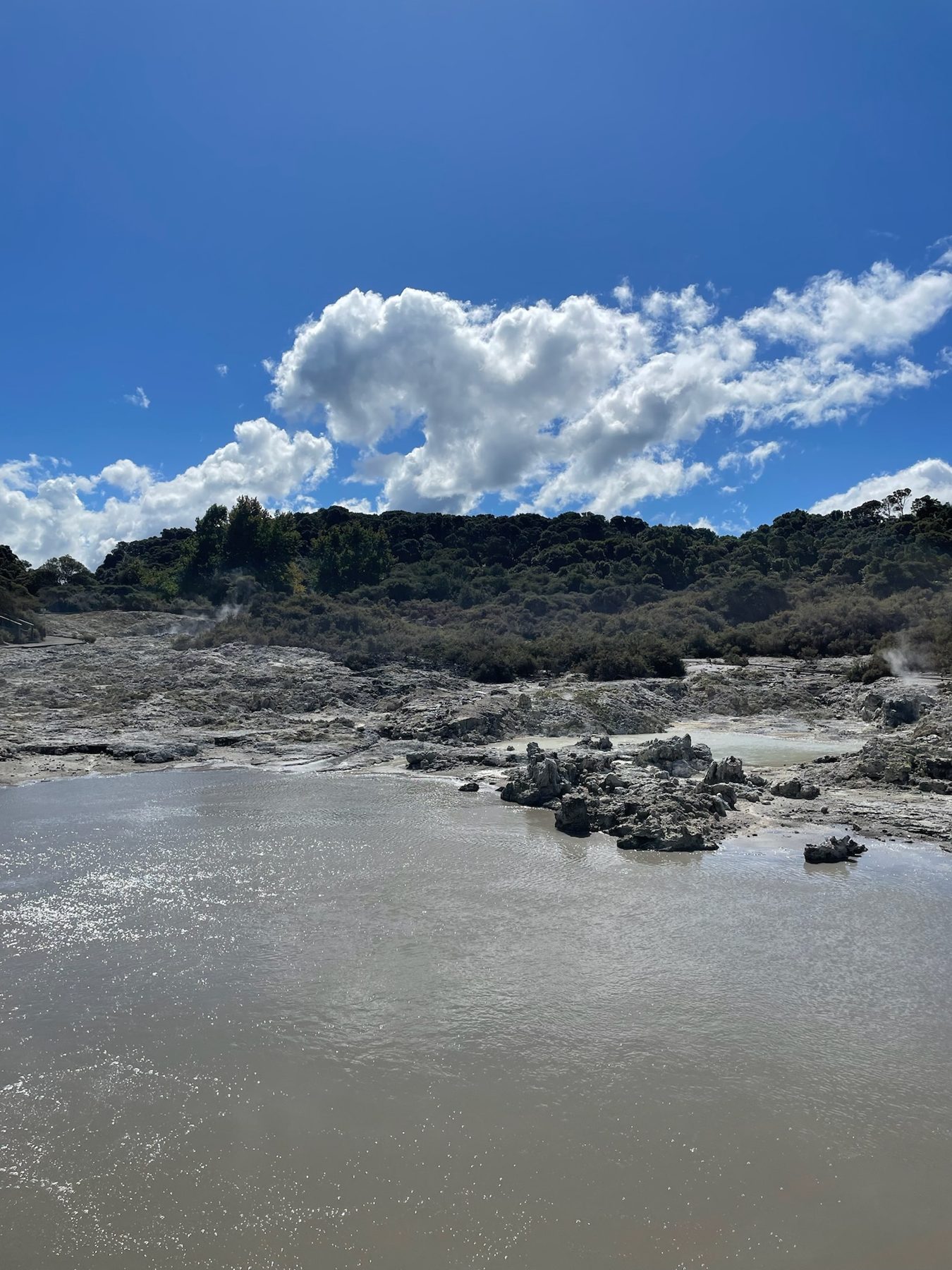 A grey, steaming hot lake on the geothermal walk at Hells Gate, Rotorua