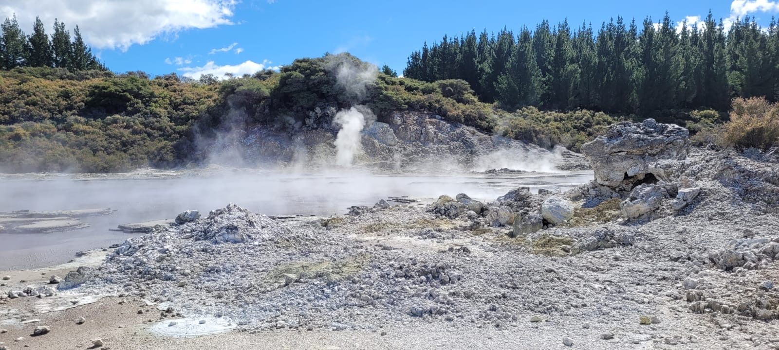 Steam rising from a vent beside a bubbling pool at Hells Gate geothermal park