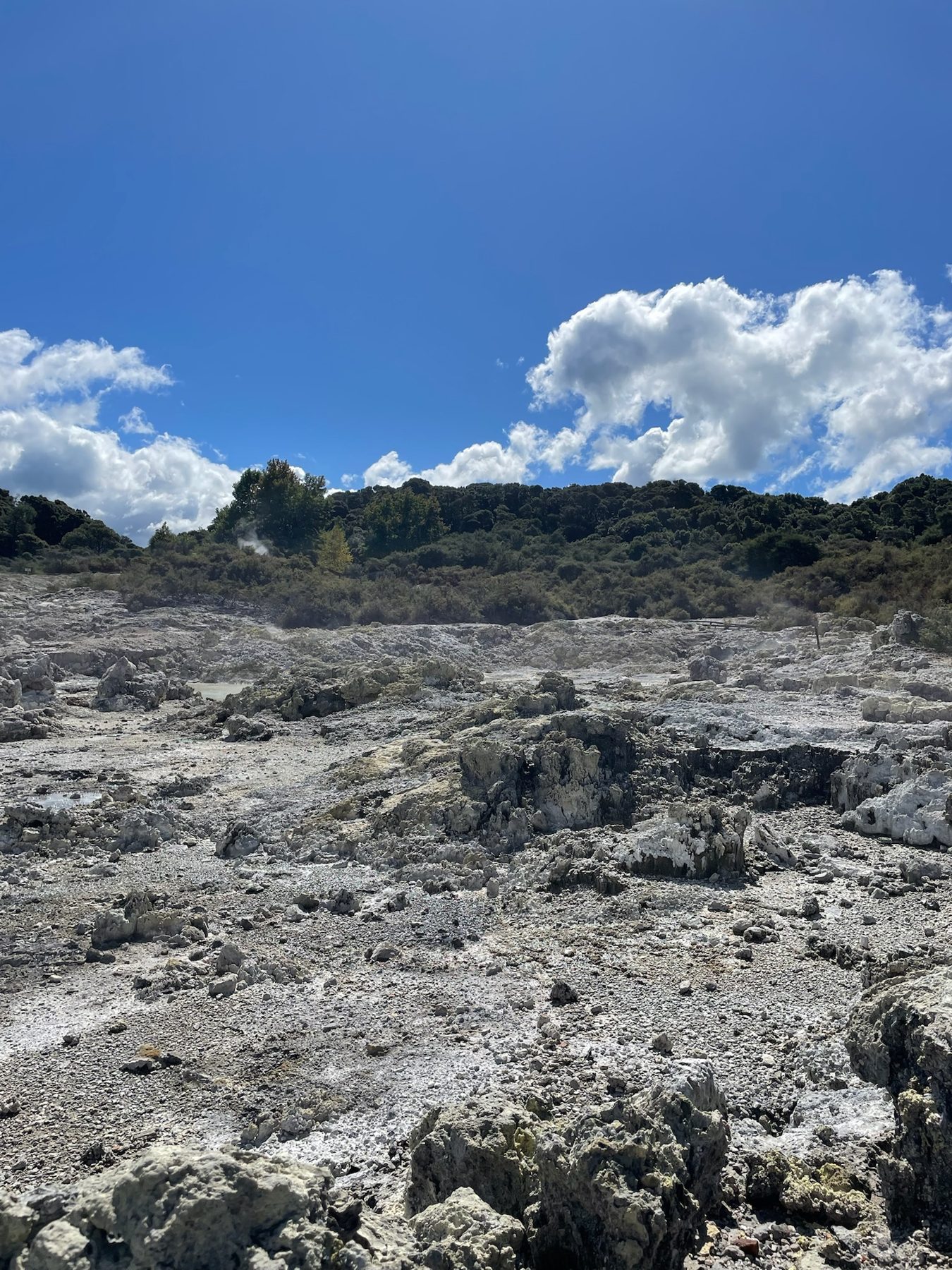 Sulphur-stained rocks and bare ground along the Hells Gate geothermal walk