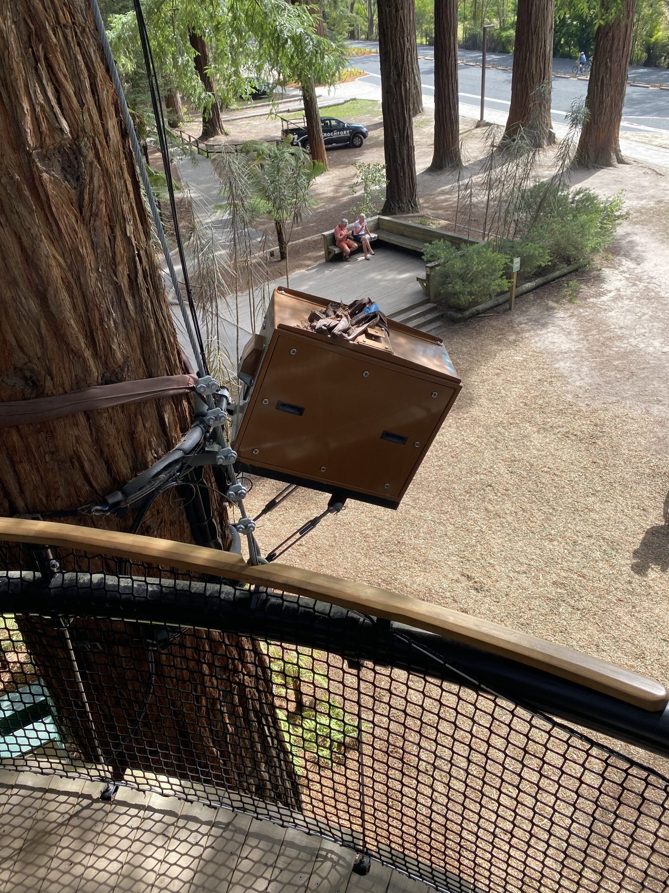 Looking down from a Treewalk platform to the forest floor near the Redwoods visitor centre, Rotorua