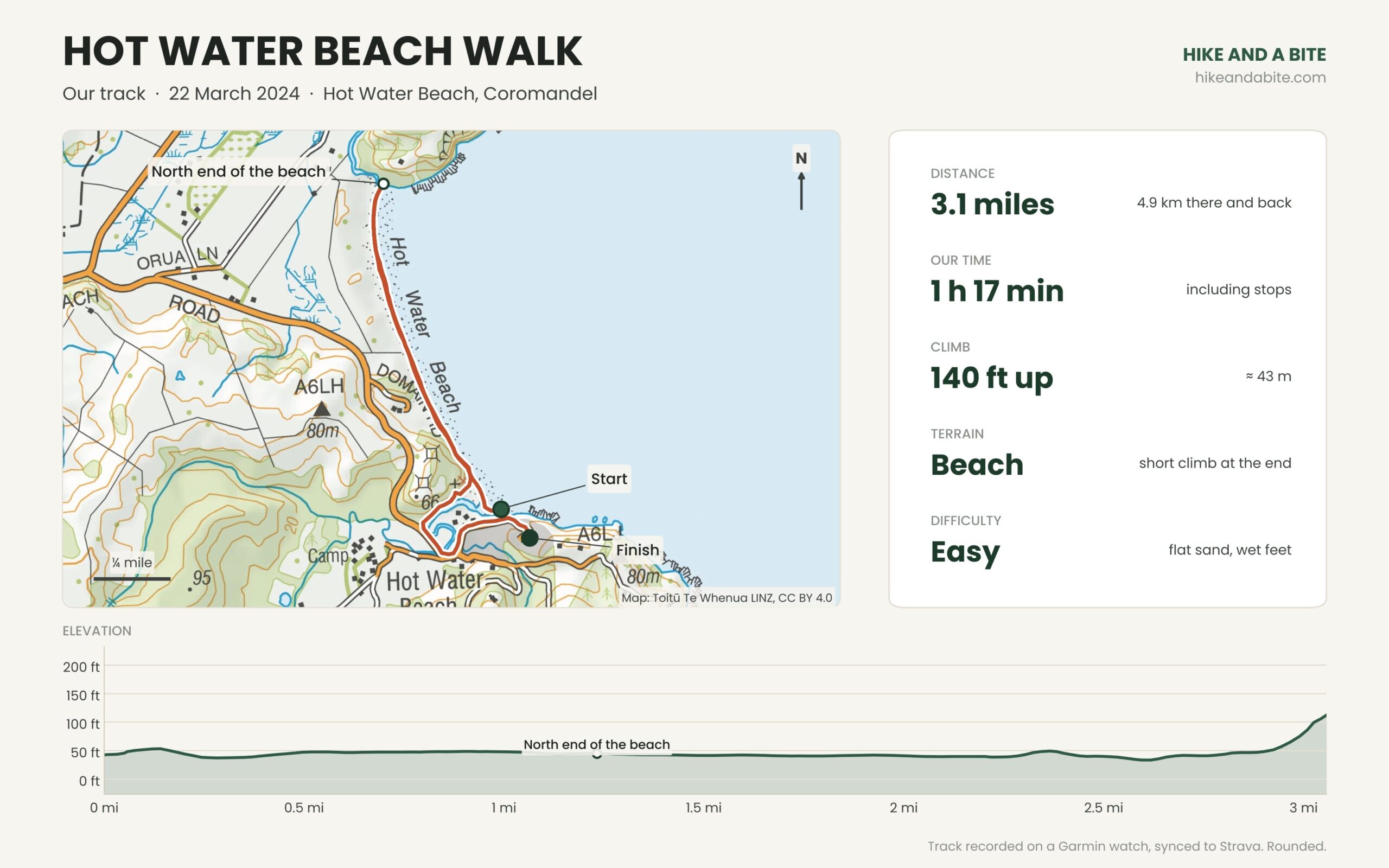 Route map and elevation profile of our Hot Water Beach walk: 3.1 miles along the beach and back
