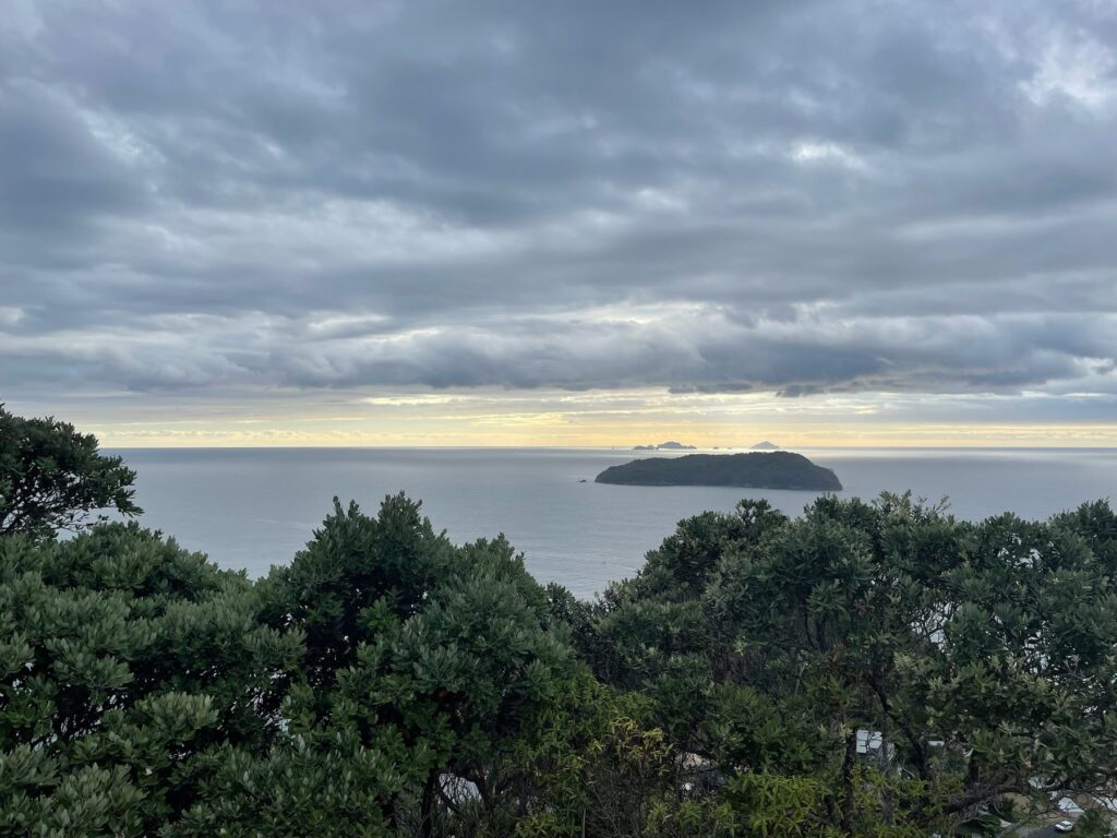 View from the Mount Paku summit over Tairua