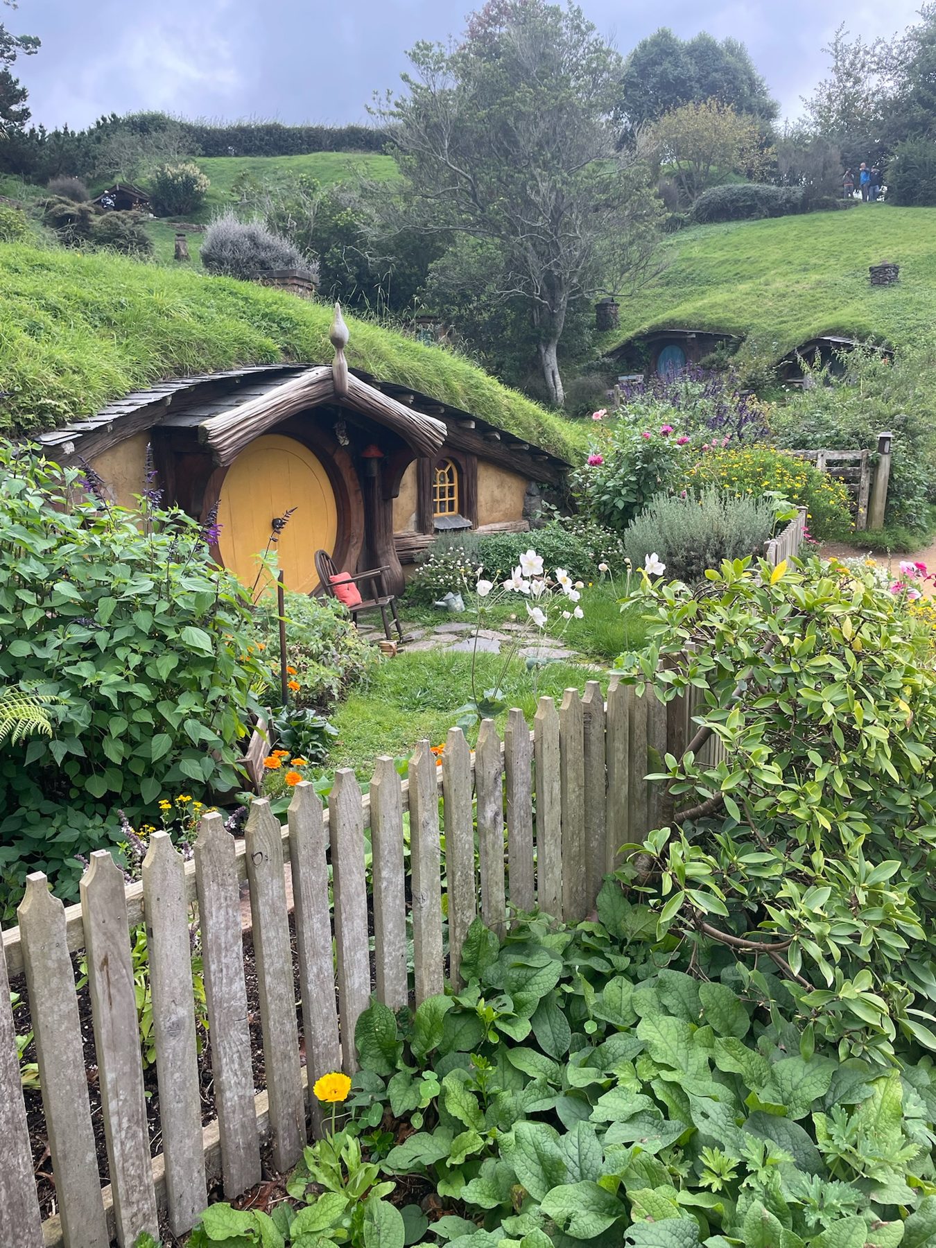 A yellow hobbit-hole door behind a wooden picket fence at Hobbiton