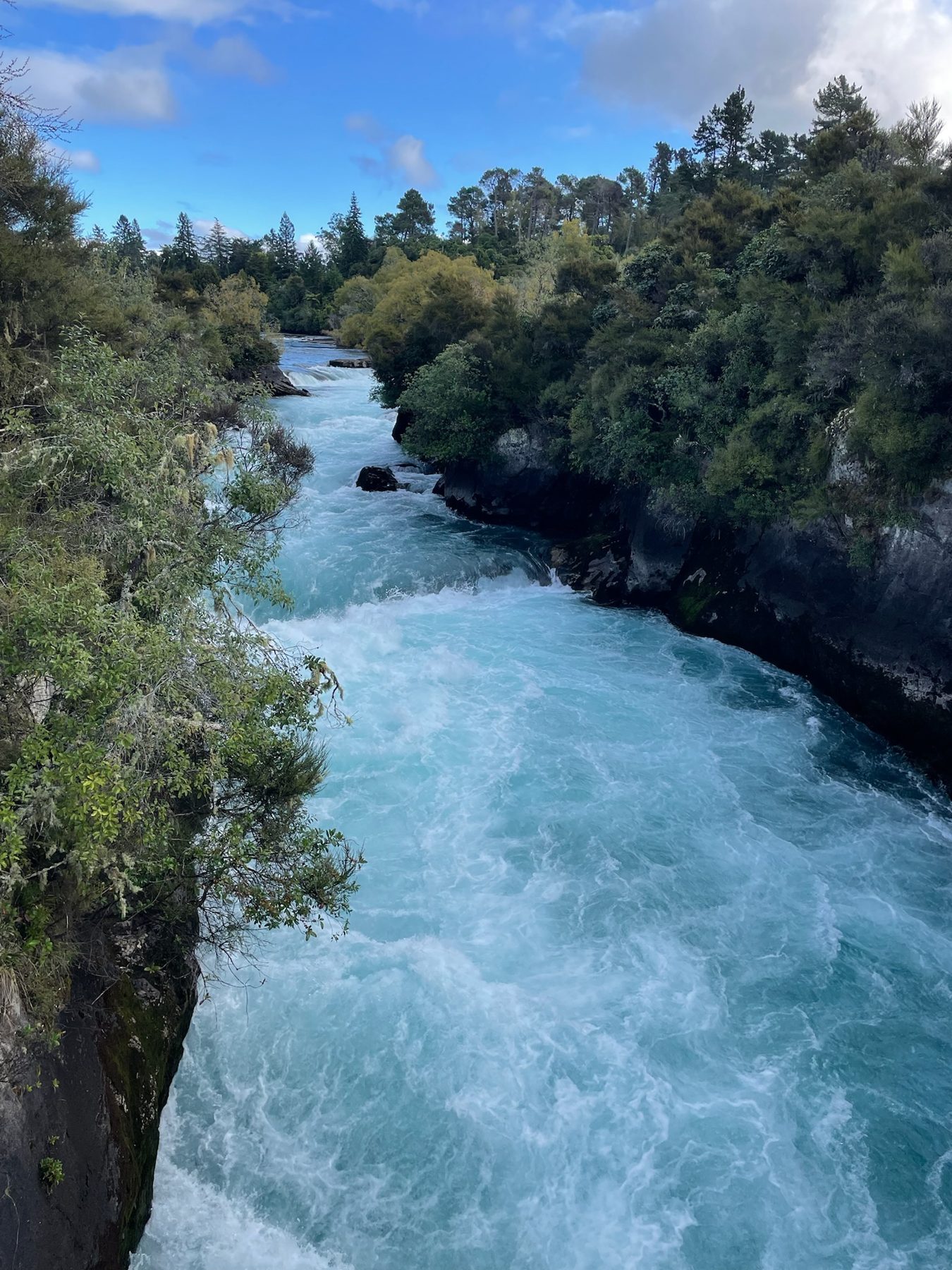 Turquoise water racing through the narrow chute above Huka Falls